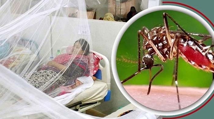 ডেঙ্গু আপডেট: ২৪ ঘণ্টায় ৪৭০ জন ভর্তি, প্রাণহানি ঘটেনি