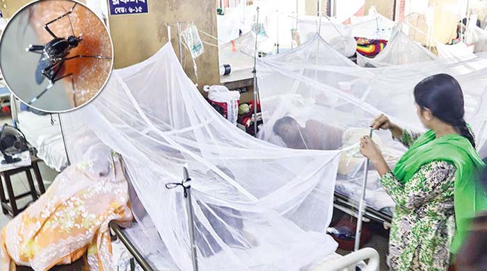 ২৪ ঘণ্টায় ডেঙ্গুতে আক্রান্ত ৪০৮, মৃত্যু আরও ৩ জনেরডেঙ্গুতে