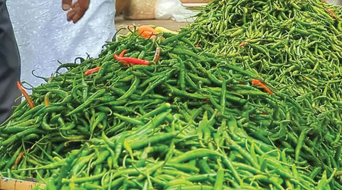 কাঁচা মরিচের দাম অস্বাভাবিক বৃদ্ধি, আমদানি বাড়লেও বাজারে ৩০০ টাকা কেজি