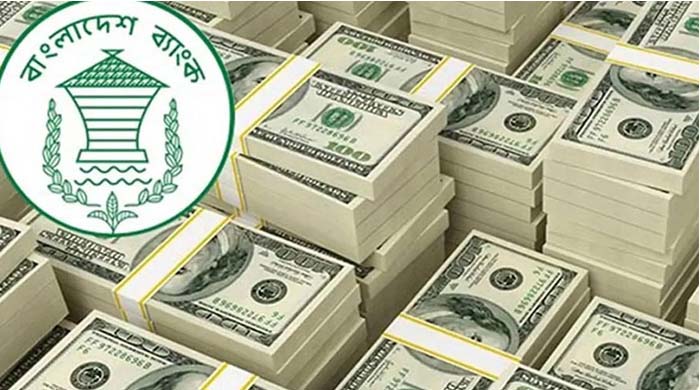 দেশে রেমিট্যান্স এলো ২৪৮ কোটি ডলার