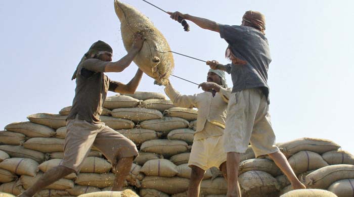 বাংলাদেশ চাল আমদানি