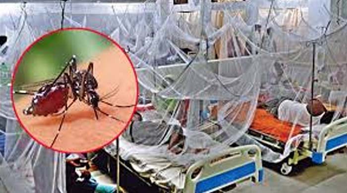 ২৪ ঘণ্টায় ডেঙ্গু আক্রান্ত ২৩০ জন, ৩ জনের মৃত্যু