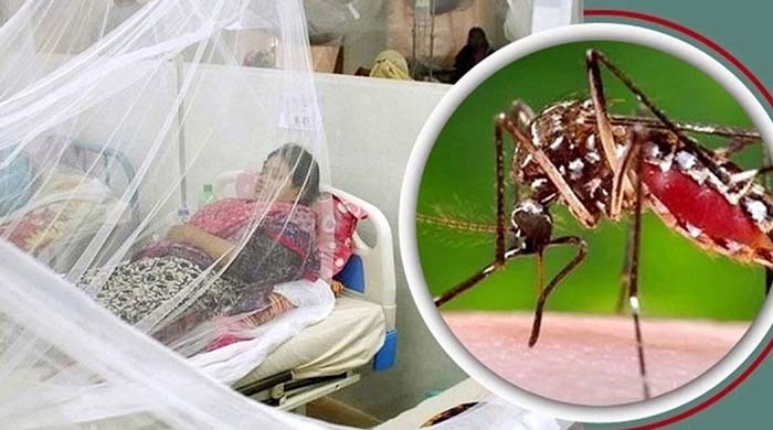 ২৪ ঘণ্টায় ডেঙ্গুতে আক্রান্ত ৪২৮ জন এবং মৃত্যু ৩ জন
