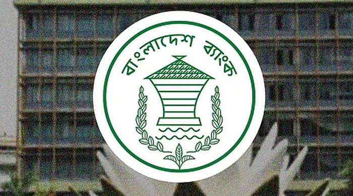 ব্র্যাক ব্যাংক শেয়ারের উত্থানের পর দরপতনের দিনপুঁজিবাজারে