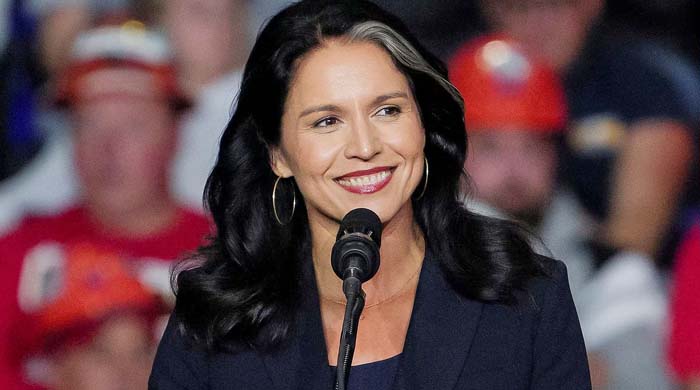 ডিএনআই কর্মী ছাঁটাই