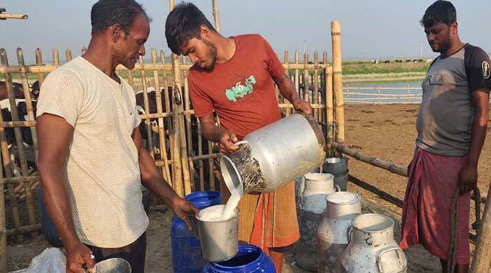 বাংলাদেশ ডেইরি উন্নয়ন বোর্ড গঠন, ১ সেপ্টেম্বর থেকে কার্যকর