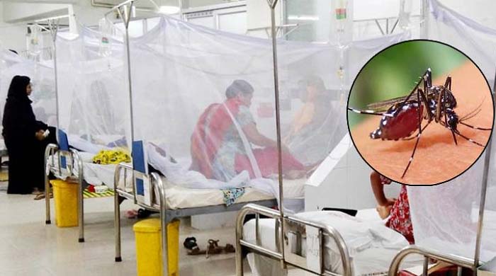 ডেঙ্গুতে মৃত্যু বেড়েই চলেছে: এক দিনে ৪ জন, মোট প্রাণহানি ১১৪