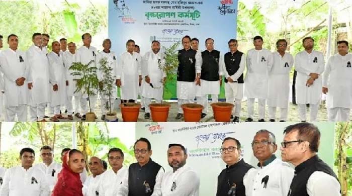 মার্কেন্টাইল ব্যাংকের বৃক্ষরোপণ কর্মসূচি