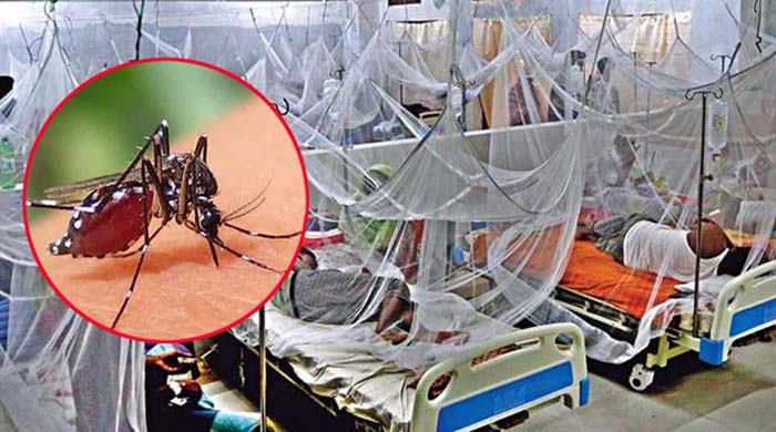 ডেঙ্গু বাংলাদেশ: গত ২৪ ঘণ্টায় নতুন ২০২ রোগী, কোনো মৃত্যু নেই