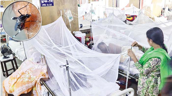 ডেঙ্গু হাসপাতাল ভর্তি: ২৪ ঘণ্টায় ৪৩০ জন হাসপাতালে ভর্তি, কোনো মৃত্যু হয়নি