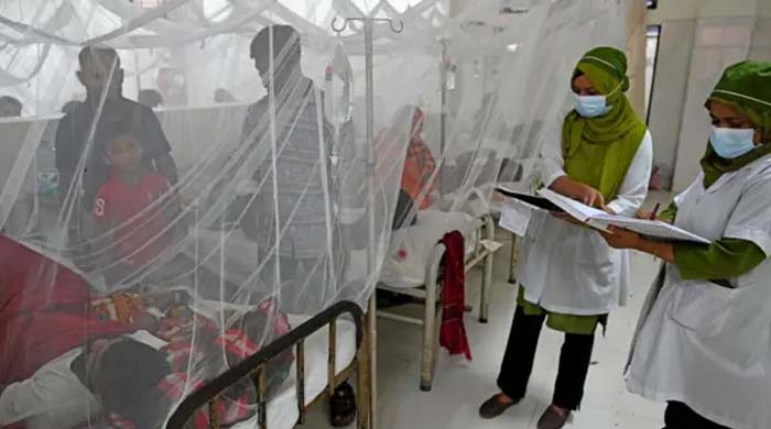 ডেঙ্গু পরিস্থিতি