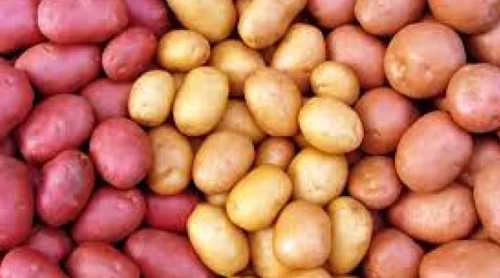 আলুর ন্যূনতম দাম