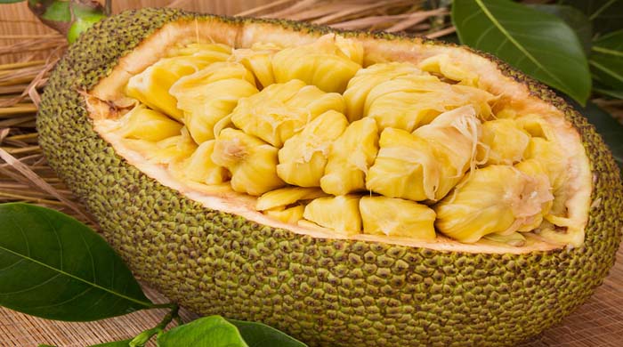 সমুদ্রপথে কাঁঠাল রপ্তানি বাংলাদেশ