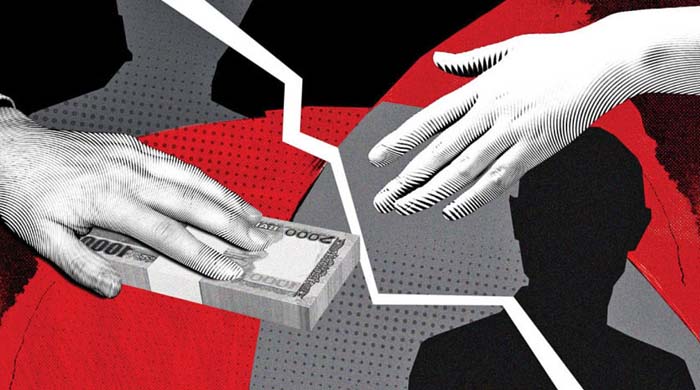 অন্তর্বর্তী সরকারের আট উপদেষ্টার দুর্নীতি