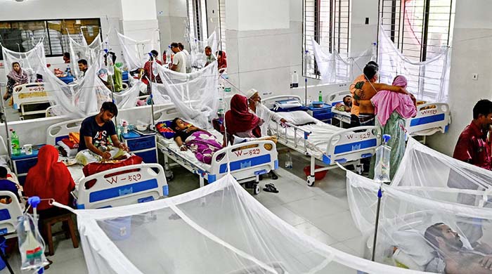 ডেঙ্গু আক্রান্ত বেড়ে ৩৪ হাজার ৯৪৮, মৃত্যু ১৩৭