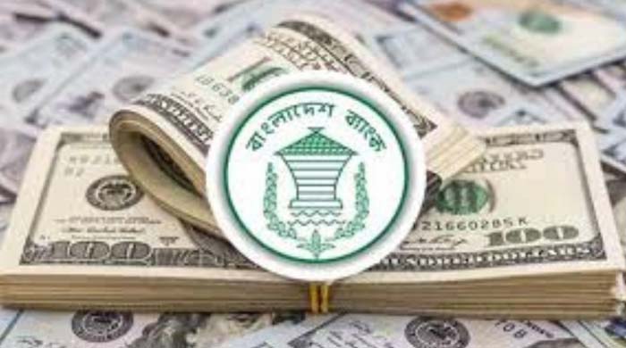 রেমিট্যান্স ২০২৫: সেপ্টেম্বরের ২২ দিনে প্রবাসী আয়ে রেকর্ড প্রবাহ