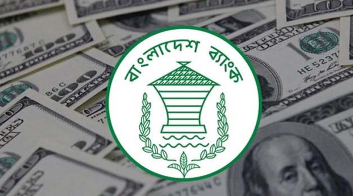 বাংলাদেশ ব্যাংক ডলার কেনা : বাজারে দাম স্থিতিশীল রাখতে কেনা হলো ১১৩ কোটি ডলার