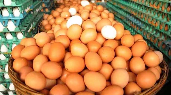 ডিমের দাম বাড়ল সবজির সংকটে, স্বস্তিতে খামারিরা