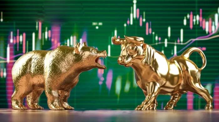 ডিএসই শেয়ার বাজার ১১ সেপ্টেম্বর: মিশ্র প্রতিক্রিয়ার মধ্যে লেনদেন, শেয়ার দর ওঠানামা