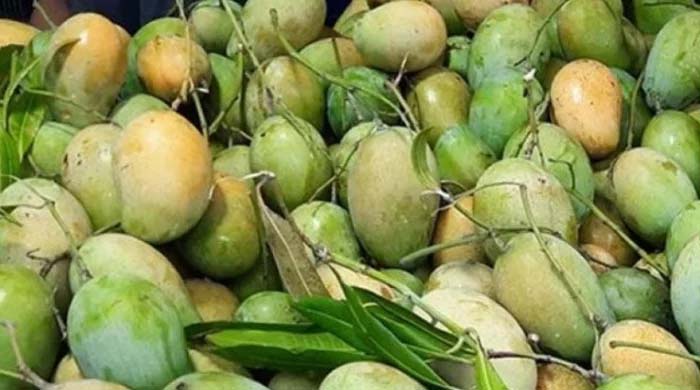 বাংলাদেশ সমুদ্রপথে আম ও কাঁঠাল রপ্তানি: কৃষি পণ্য রপ্তানিতে নতুন ধাপ