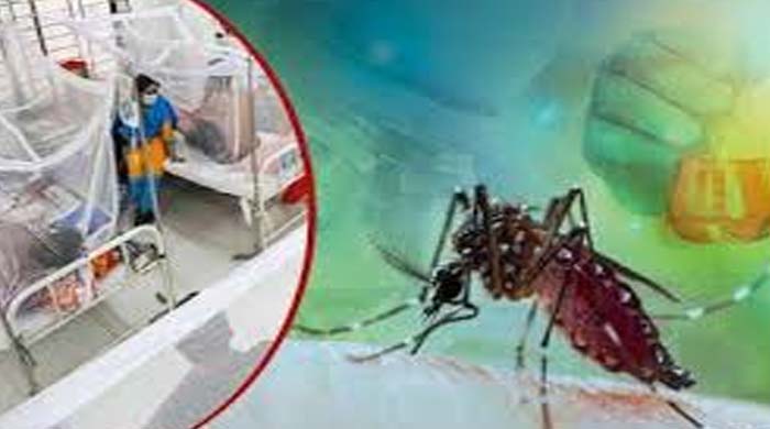 ডেঙ্গুতে এক সপ্তাহে ১২ মৃত্যু, হাসপাতালে ভর্তি ২ হাজার ৫৫৯ জন