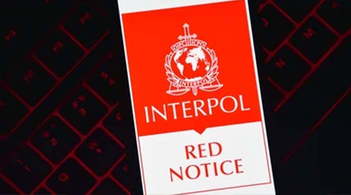 রেড নোটিশ বাংলাদেশ: ৪ গার্মেন্টস মালিকের বিরুদ্ধে সরকারের উদ্যোগ