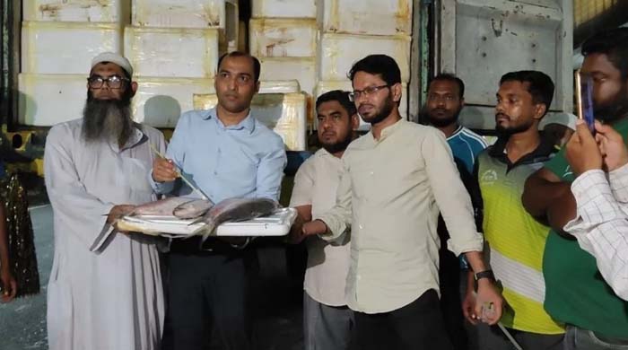 ইলিশ রপ্তানি: দুর্গাপূজা উপলক্ষে ভারতে ১২০০ টন রপ্তানির অনুমতি পেল ৩৭ প্রতিষ্ঠান