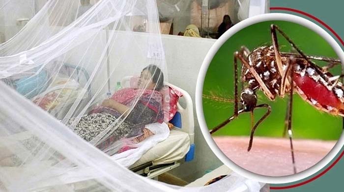 ডেঙ্গু: গত ২৪ ঘণ্টায় ৩ জনের মৃত্যু, হাসপাতালে ভর্তি ৭৩৫ জন