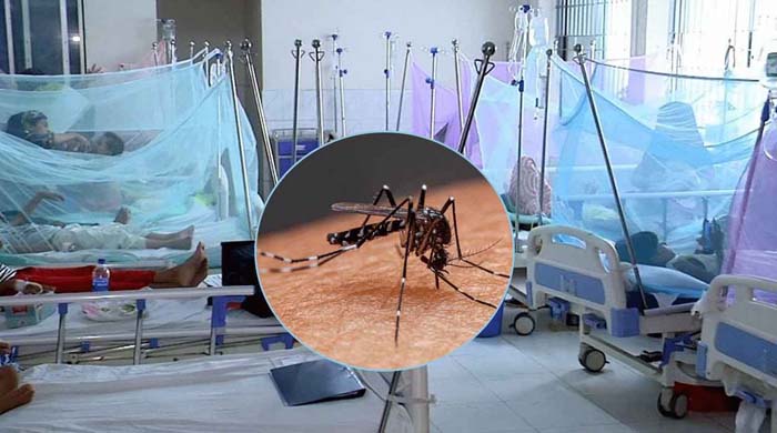 ডেঙ্গু: একদিনে ছয় জনের মৃত্যু, হাসপাতালে ভর্তি ৫৮৬ রোগী