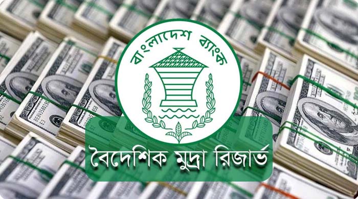 বৈদেশিক মুদ্রার রিজার্ভ ৩১.৩৮ বিলিয়ন ডলারে পৌঁছেছে, বাংলাদেশ ব্যাংকের তথ্য