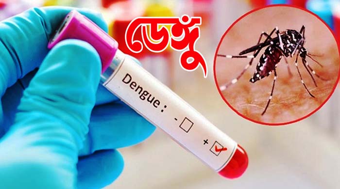 ডেঙ্গুতে মৃত্যু বাড়ছে, ২৪ ঘণ্টায় প্রাণ গেল ৪ জনের ও ভর্তি ৮৪৫ রোগী