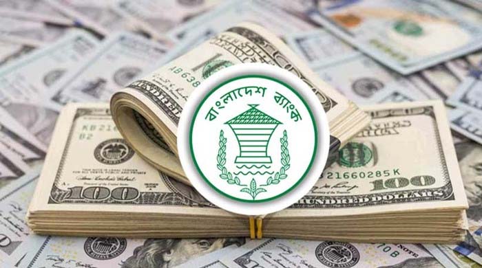 প্রবাসী রেমিট্যান্স: সেপ্টেম্বরের প্রথম ৯ দিনে দেশে এসেছে ১০১ কোটি ডলার